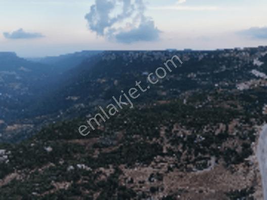 Aslanlıda 500 M² Tapulu Arsa | İsteğe Göre Villa & Tıny House — fotoğraf 10