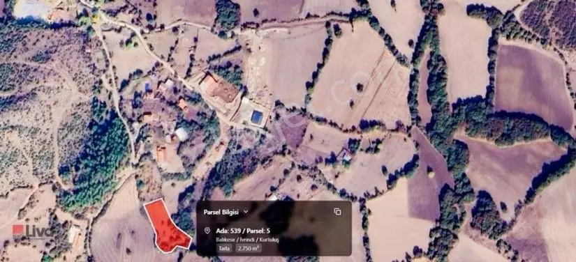 Balıkesir İvrindi Kurtuluş Mahallesinde 2.750 M² Müstakil Tarla — fotoğraf 8