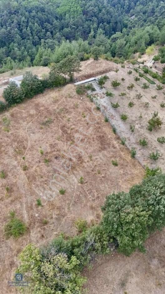 Balıkesir,ivrindi,büyükyenice 5 Dönüm Tarla — fotoğraf 3