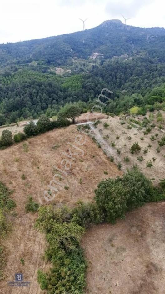 Balıkesir,ivrindi,büyükyenice 5 Dönüm Tarla — fotoğraf 4