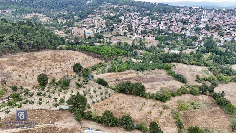 Balıkesir,ivrindi,büyükyenice 5 Dönüm Tarla — fotoğraf 6