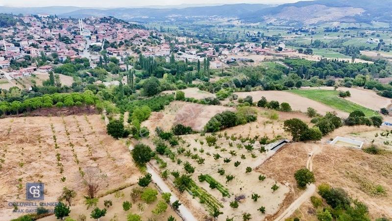 Balıkesir,ivrindi,büyükyenice 5 Dönüm Tarla — fotoğraf 7