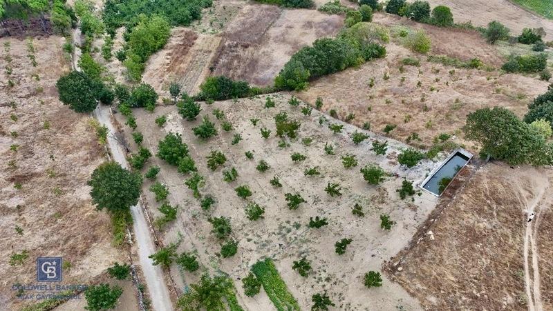 Balıkesir,ivrindi,büyükyenice 5 Dönüm Tarla — fotoğraf 8