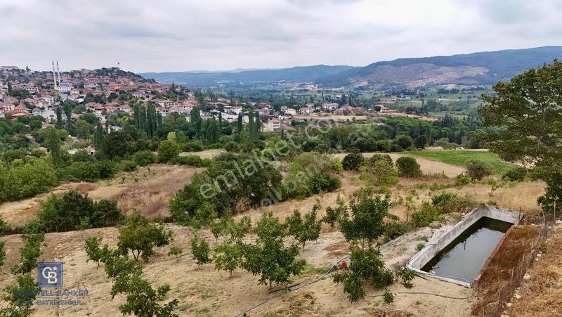 Balıkesir,ivrindi,büyükyenice 5 Dönüm Tarla — fotoğraf 9