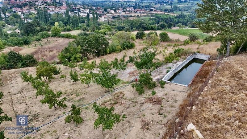 Balıkesir,ivrindi,büyükyenice 5 Dönüm Tarla — fotoğraf 10