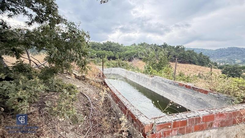 Balıkesir,ivrindi,büyükyenice 5 Dönüm Tarla — fotoğraf 11