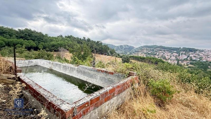 Balıkesir,ivrindi,büyükyenice 5 Dönüm Tarla — fotoğraf 12