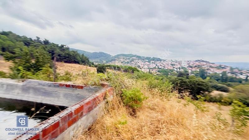 Balıkesir,ivrindi,büyükyenice 5 Dönüm Tarla — fotoğraf 13