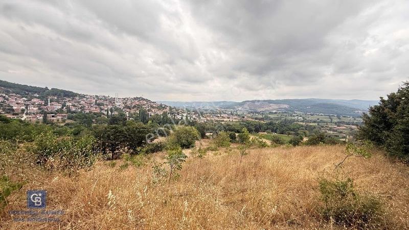 Balıkesir,ivrindi,büyükyenice 5 Dönüm Tarla — fotoğraf 15