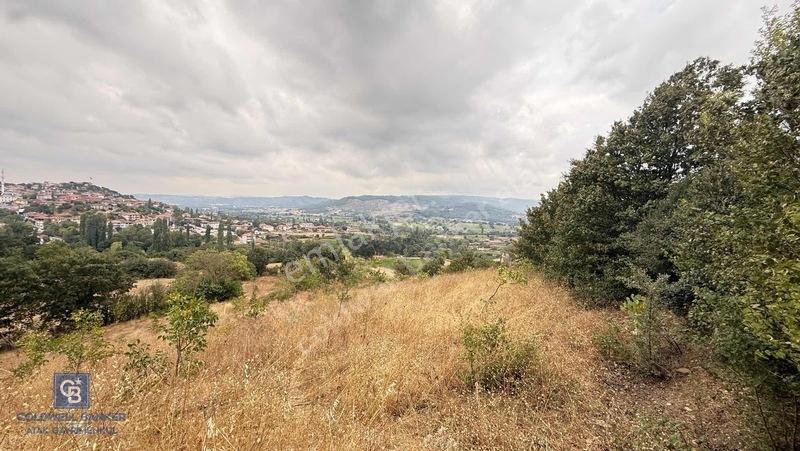 Balıkesir,ivrindi,büyükyenice 5 Dönüm Tarla — fotoğraf 16