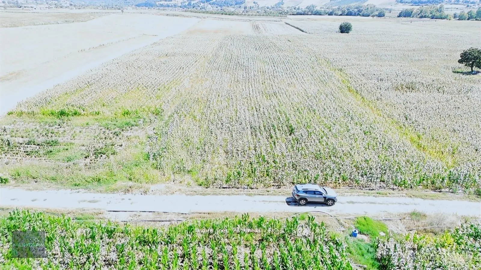 Muhtarımdan Tütüncü Mah.çeltik Ekimine Uygun Tarla — fotoğraf 2