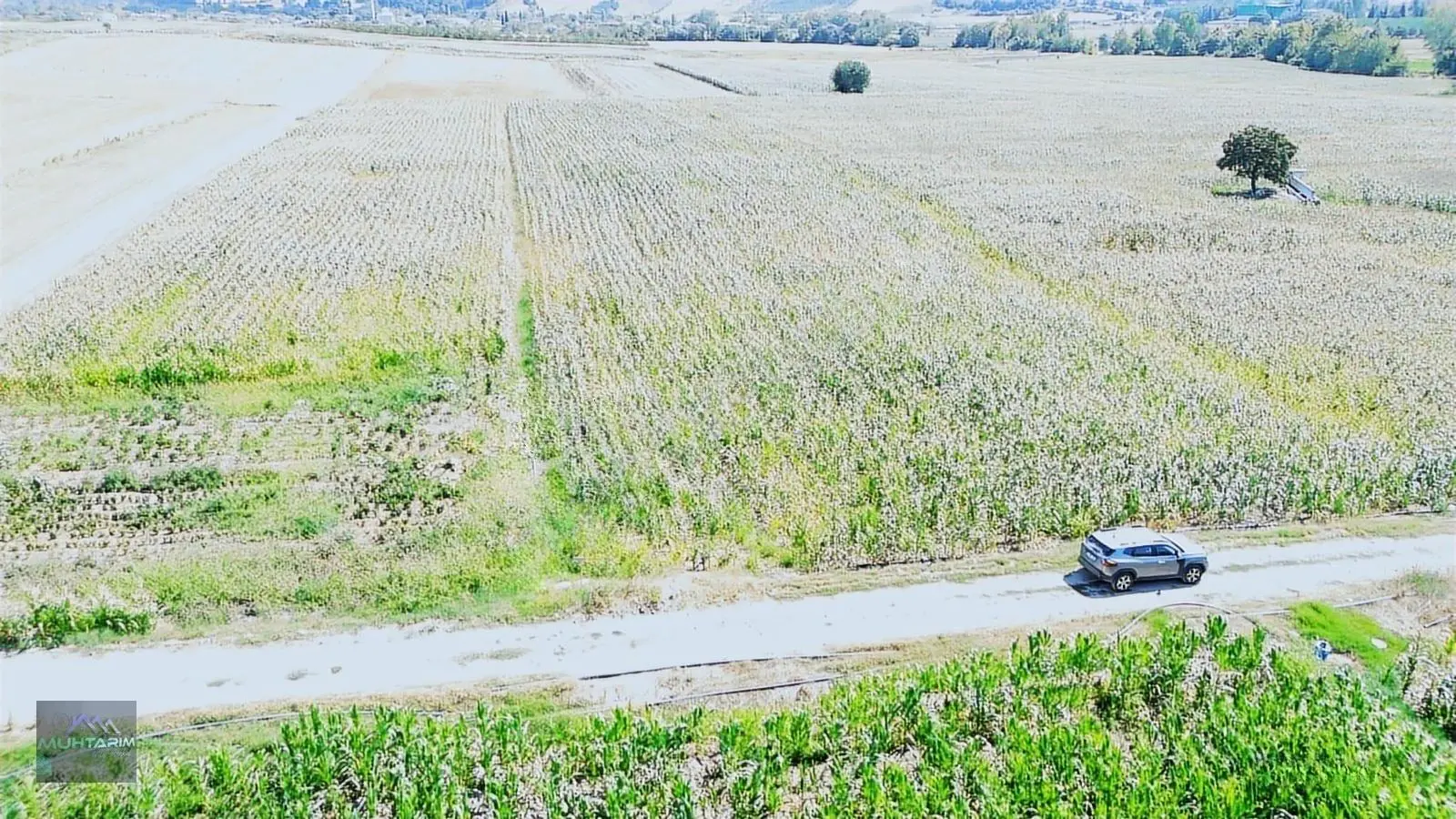Muhtarımdan Tütüncü Mah.çeltik Ekimine Uygun Tarla — fotoğraf 3