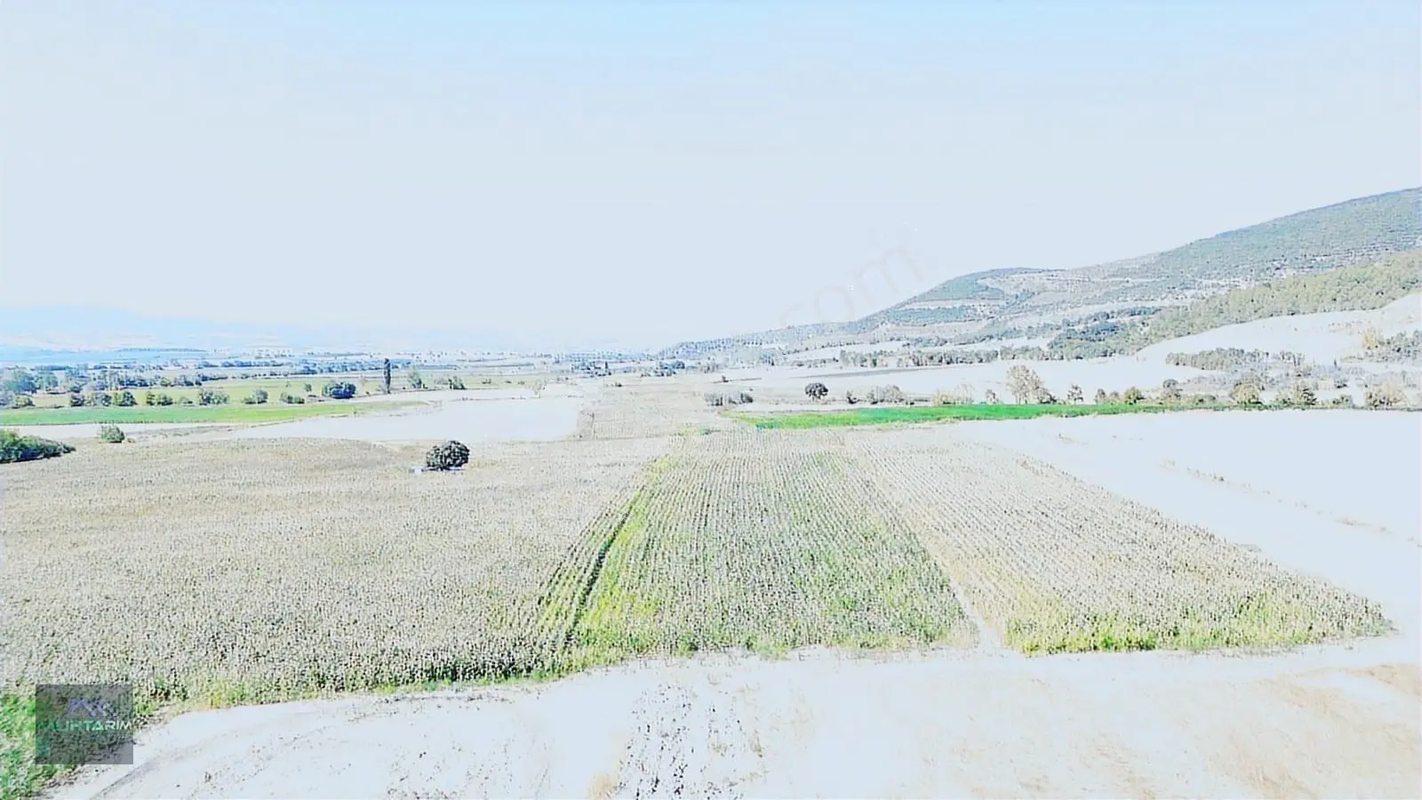 Muhtarımdan Tütüncü Mah.çeltik Ekimine Uygun Tarla — fotoğraf 9