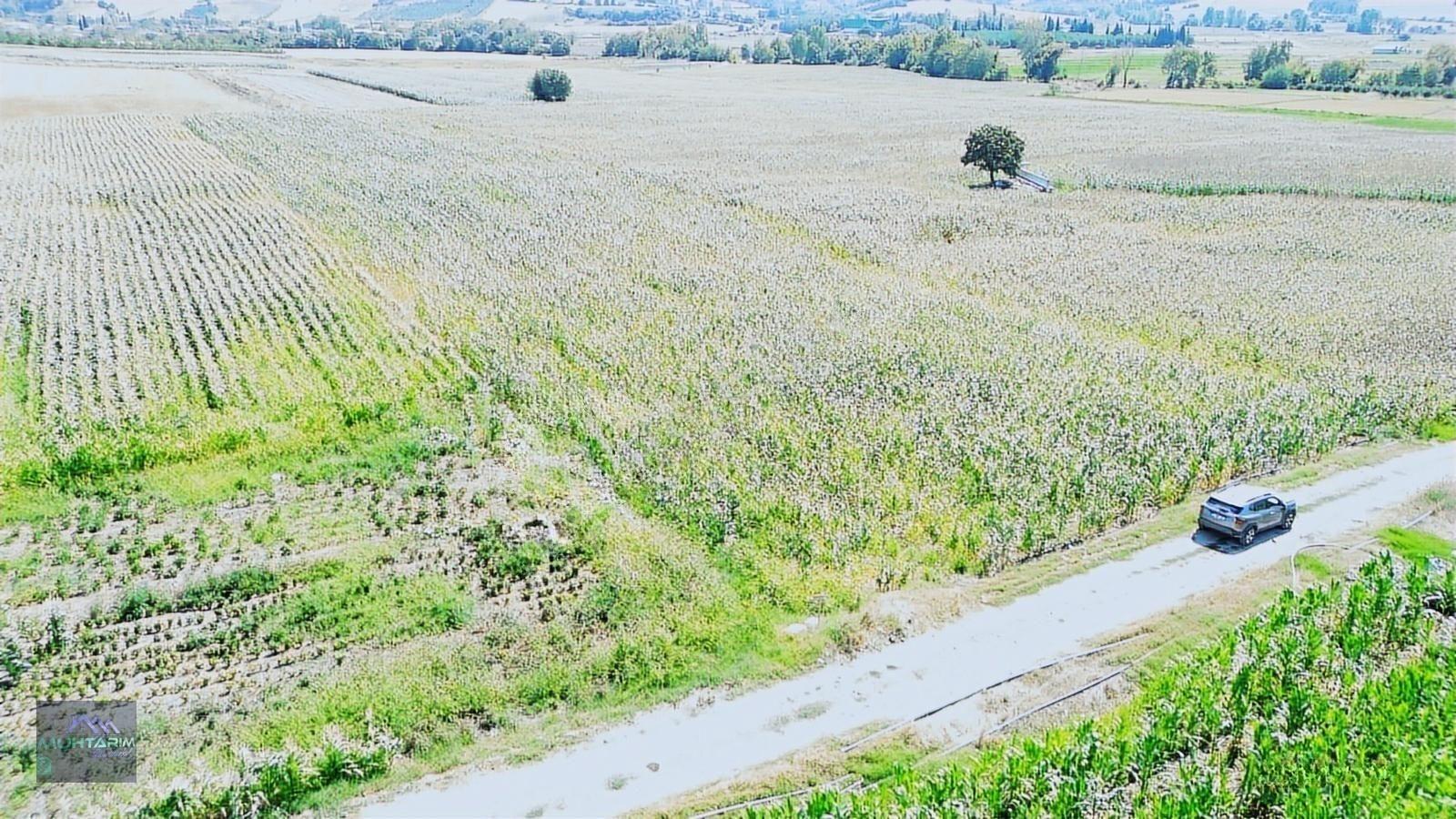 Muhtarımdan Tütüncü Mah.çeltik Ekimine Uygun Tarla — fotoğraf 12