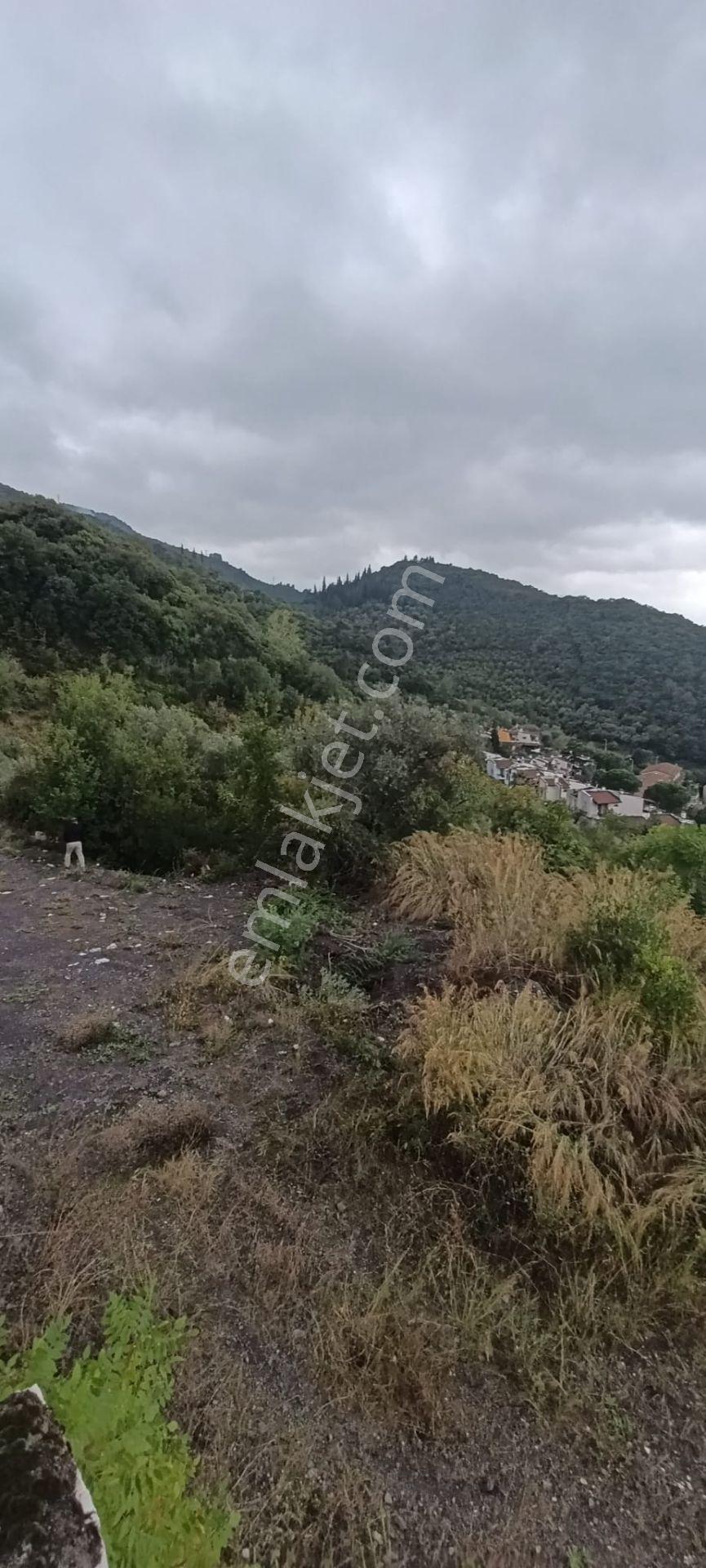 Akkoyun Dan Full Deniz Manzaralı Arsa — fotoğraf 10
