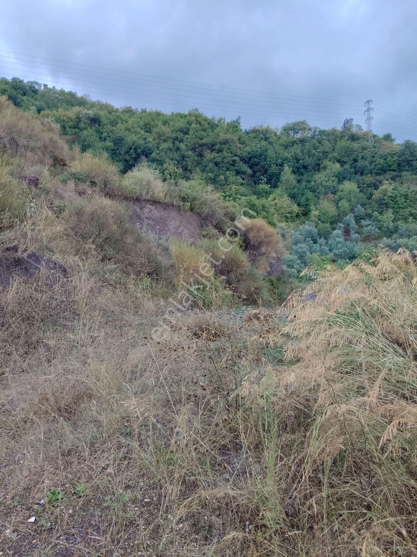Akkoyun Dan Full Deniz Manzaralı Arsa — fotoğraf 12