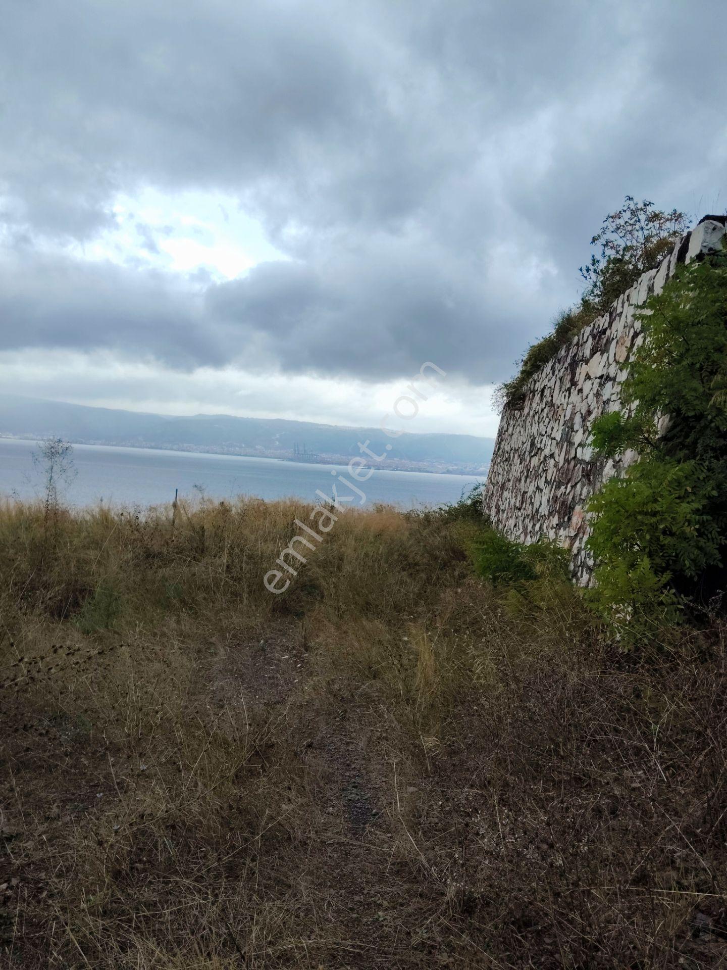 Akkoyun Dan Full Deniz Manzaralı Arsa — fotoğraf 19