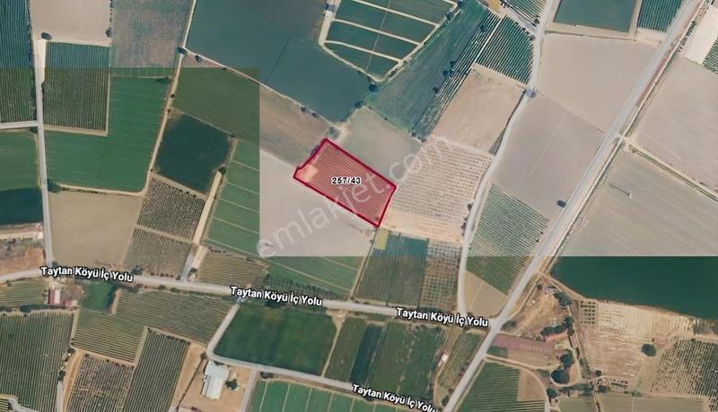 Taytan'Da 6567 M2 Satılık Bağ
