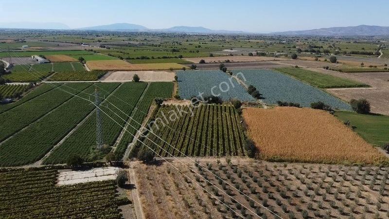 Taytan'da 6567 M2 Satılık Bağ — fotoğraf 4