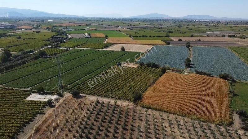Taytan'da 6567 M2 Satılık Bağ — fotoğraf 5