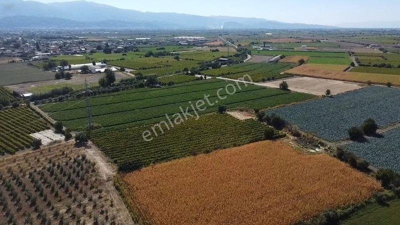 Taytan'da 6567 M2 Satılık Bağ — fotoğraf 6