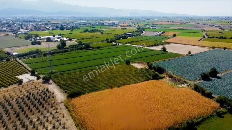 Taytan'da 6567 M2 Satılık Bağ — fotoğraf 7