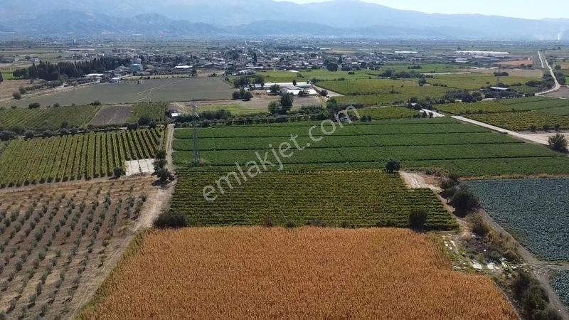 Taytan'da 6567 M2 Satılık Bağ — fotoğraf 8