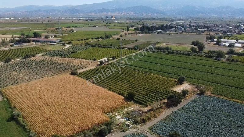 Taytan'da 6567 M2 Satılık Bağ — fotoğraf 9