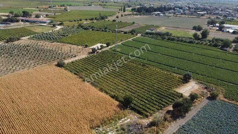 Taytan'da 6567 M2 Satılık Bağ — fotoğraf 10