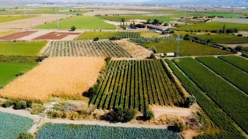 Taytan'da 6567 M2 Satılık Bağ — fotoğraf 11