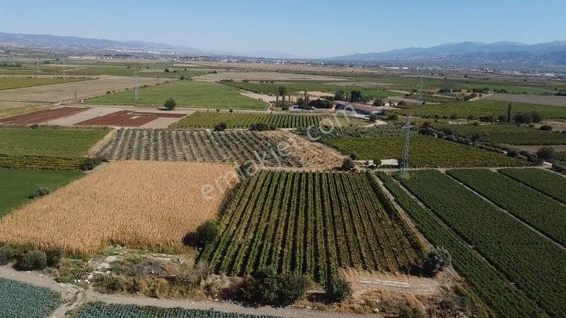 Taytan'da 6567 M2 Satılık Bağ — fotoğraf 12