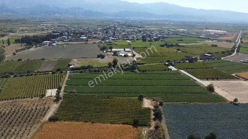Taytan'da 6567 M2 Satılık Bağ — fotoğraf 13