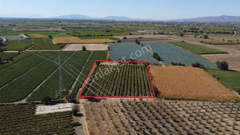 Taytan'da 6567 M2 Satılık Bağ — fotoğraf 19