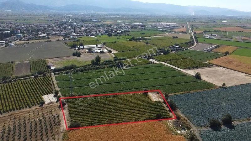 Taytan'da 6567 M2 Satılık Bağ — fotoğraf 20