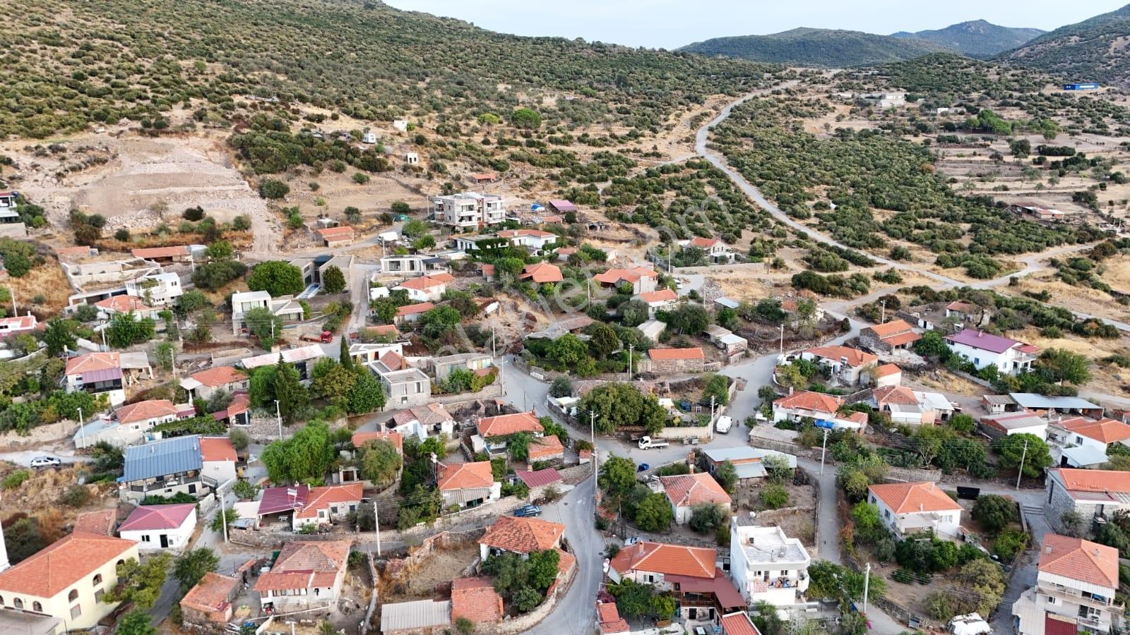 Yahşibeyde Bademliye Çok Yakın Fırsat Zeytinli Tarla — fotoğraf 4