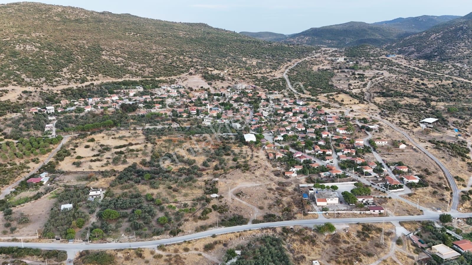 Yahşibeyde Bademliye Çok Yakın Fırsat Zeytinli Tarla — fotoğraf 6