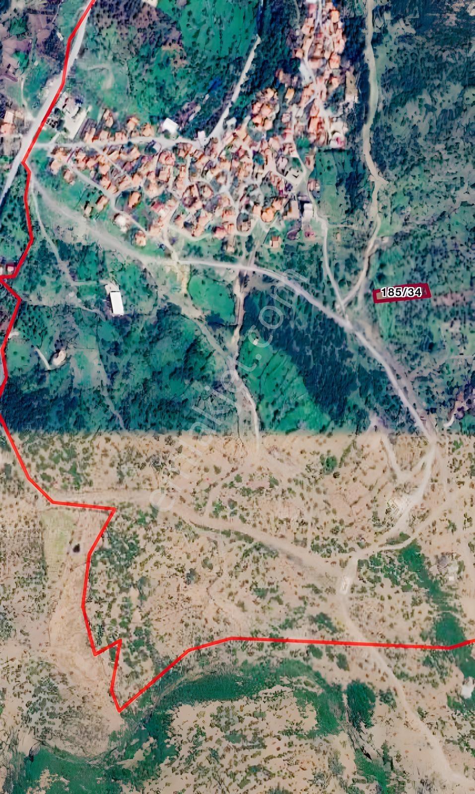 Yahşibeyde Bademliye Çok Yakın Fırsat Zeytinli Tarla — fotoğraf 19