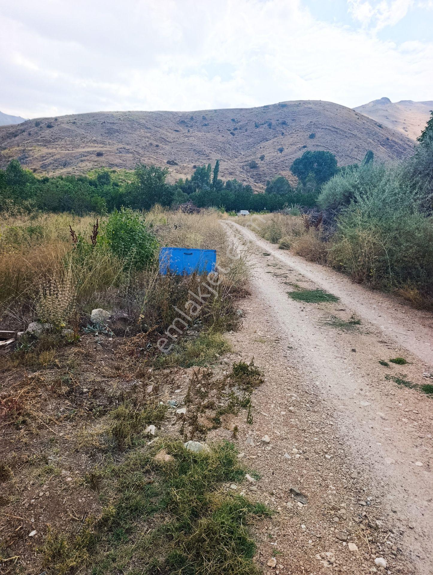 Celaller De Verimli Kiraz Bahçesi — fotoğraf 23