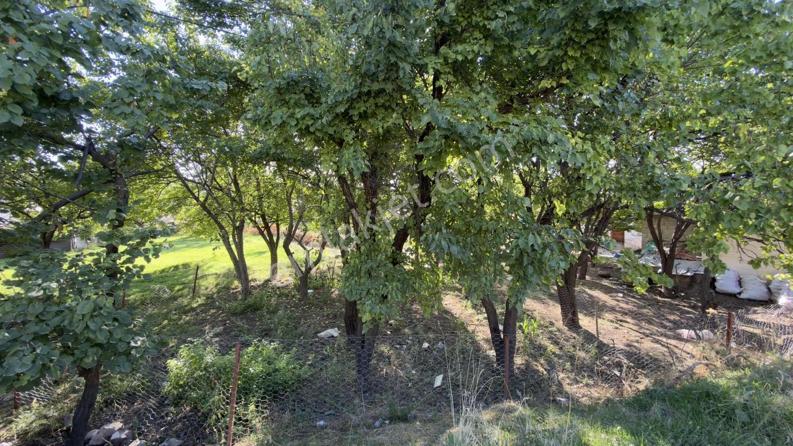 Remax Dem'den Gümüştarla Satılık 364 M2 Fırsat Arsa — fotoğraf 7