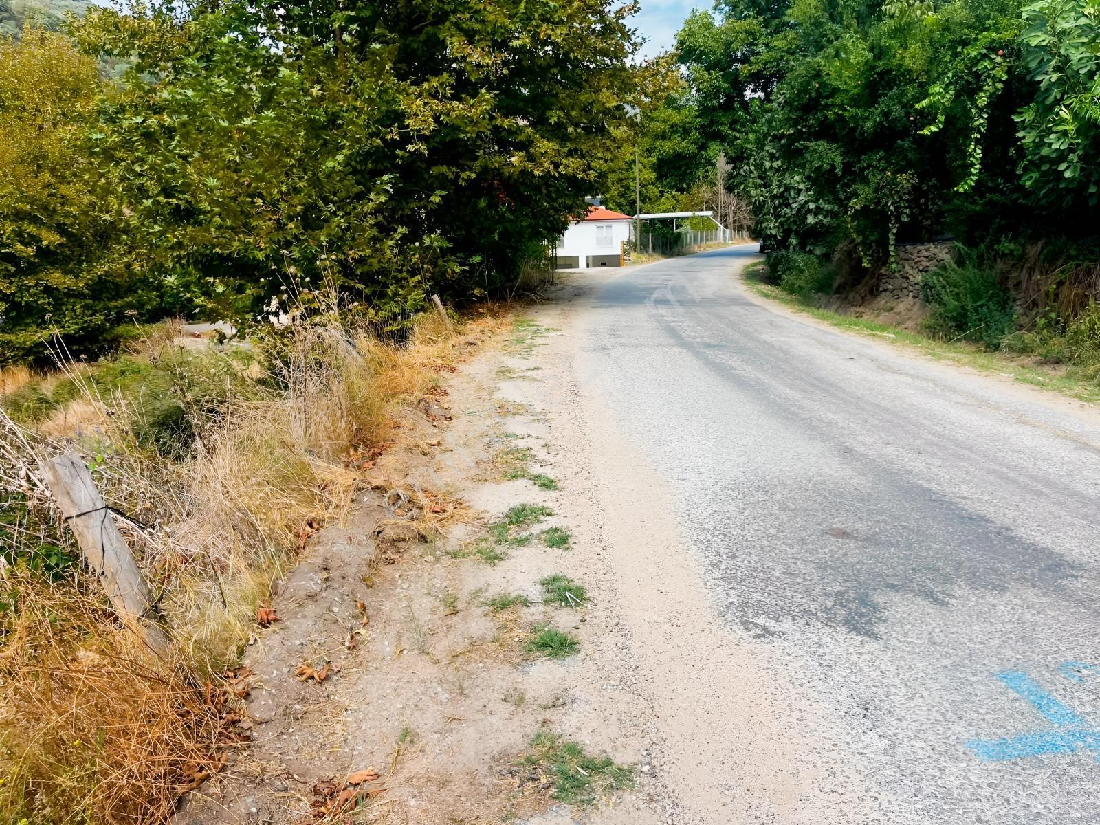 Doğayla İç İçe, Asfalt Yola Cepheli 2051 M² İmarlı Arsa! — fotoğraf 10