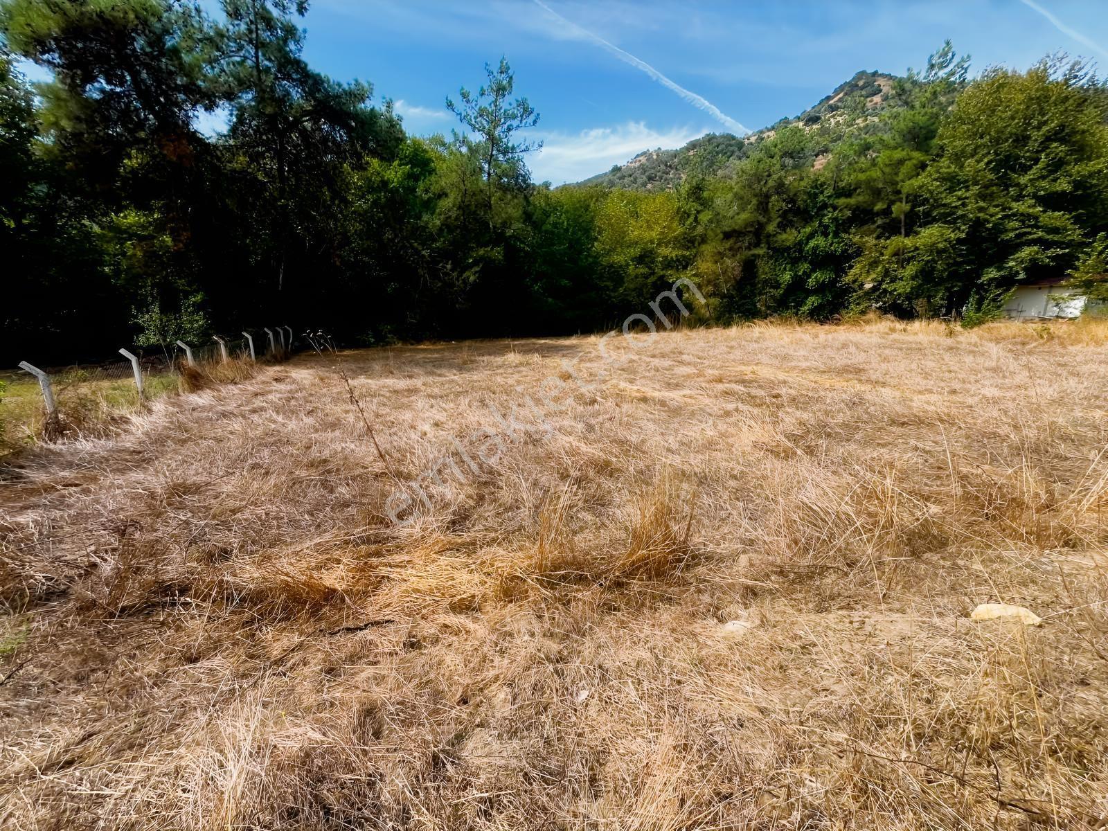 Doğayla İç İçe, Asfalt Yola Cepheli 2051 M² İmarlı Arsa! — fotoğraf 11