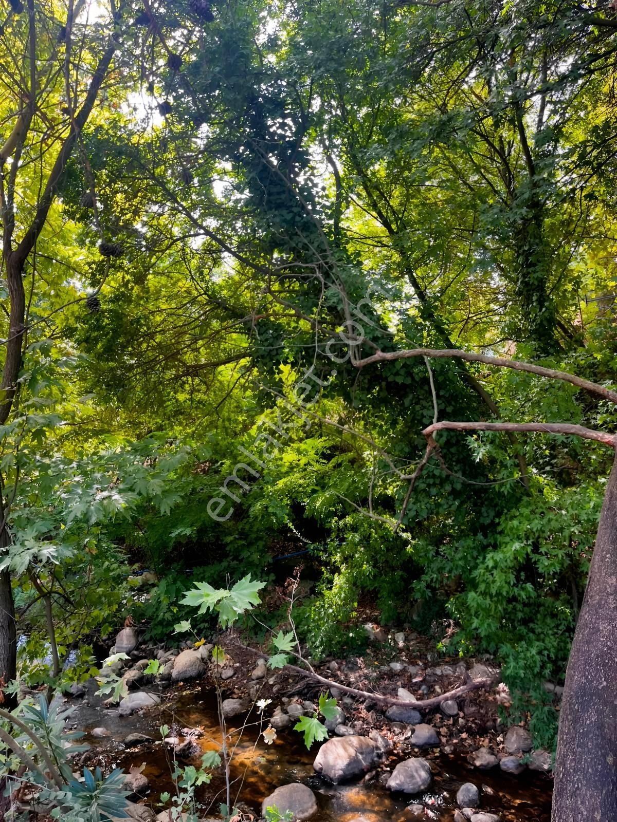 Doğayla İç İçe, Asfalt Yola Cepheli 2051 M² İmarlı Arsa! — fotoğraf 23
