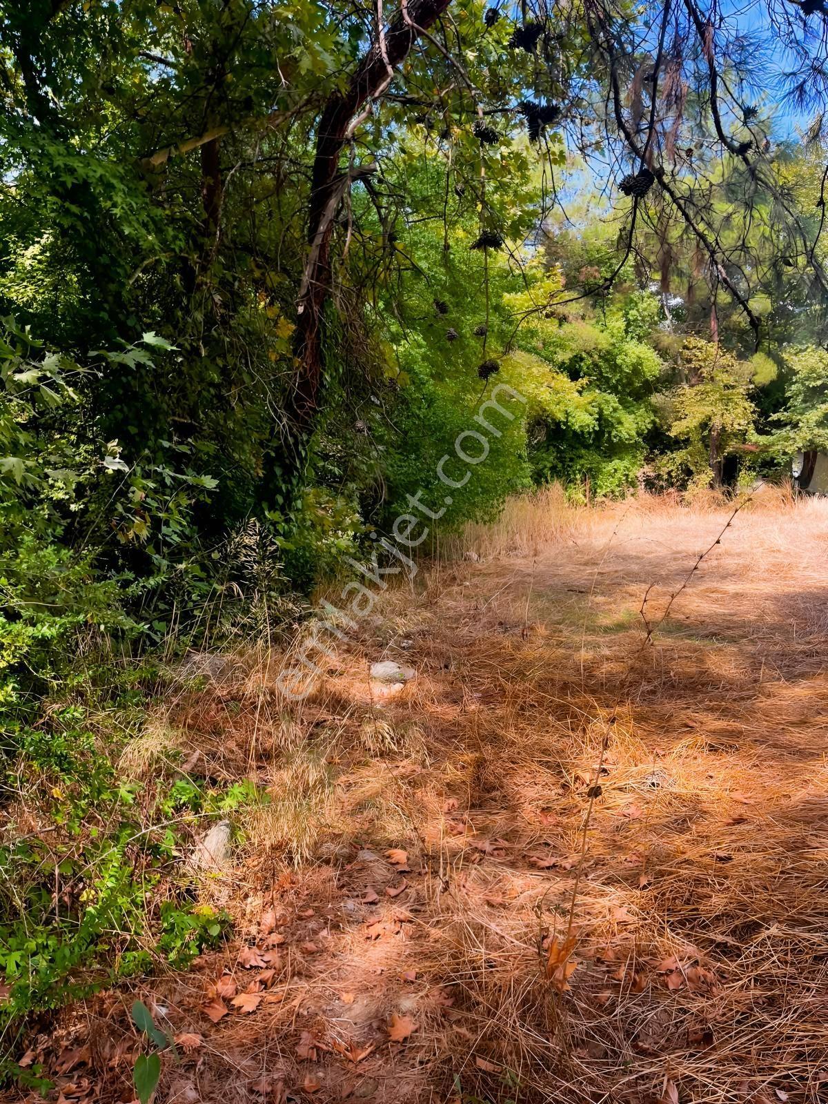 Doğayla İç İçe, Asfalt Yola Cepheli 2051 M² İmarlı Arsa! — fotoğraf 25