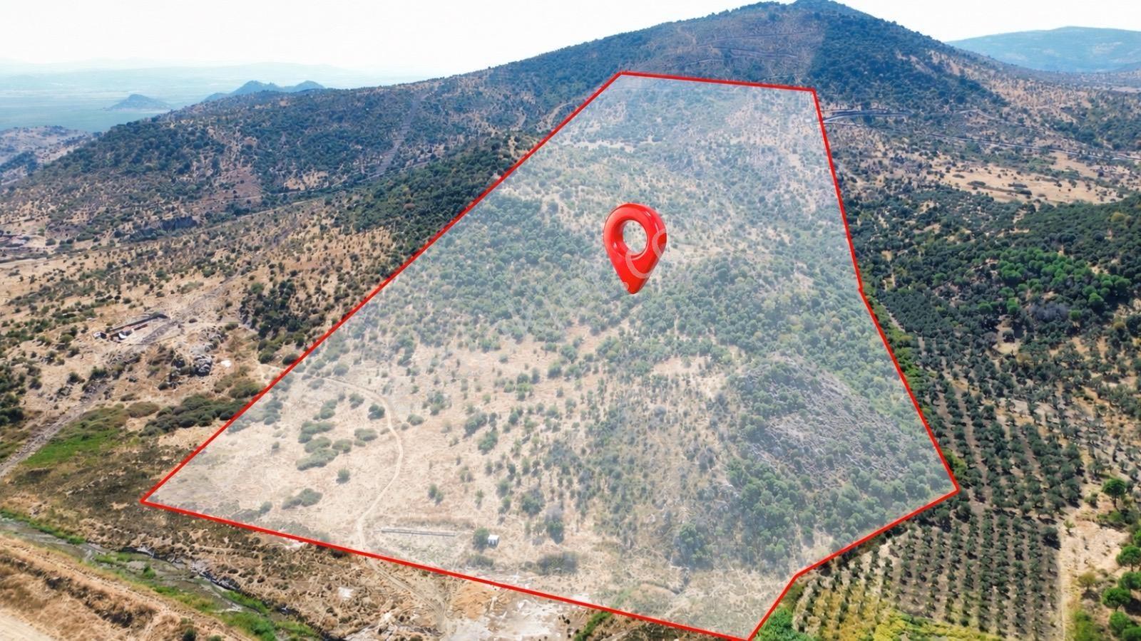 Dikili Salimbey Jeotermal Tarım Ve Enerji Potansiyeli Bir Arada Olan 283.350 M2 Satılık Arazi — fotoğraf 5