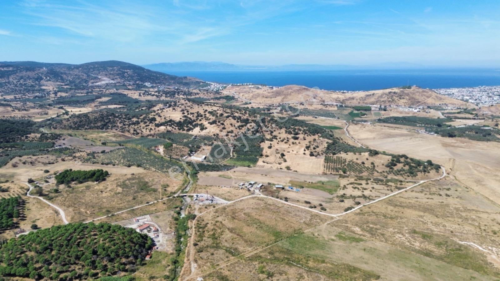 Dikili Salimbey Jeotermal Tarım Ve Enerji Potansiyeli Bir Arada Olan 283.350 M2 Satılık Arazi — fotoğraf 9