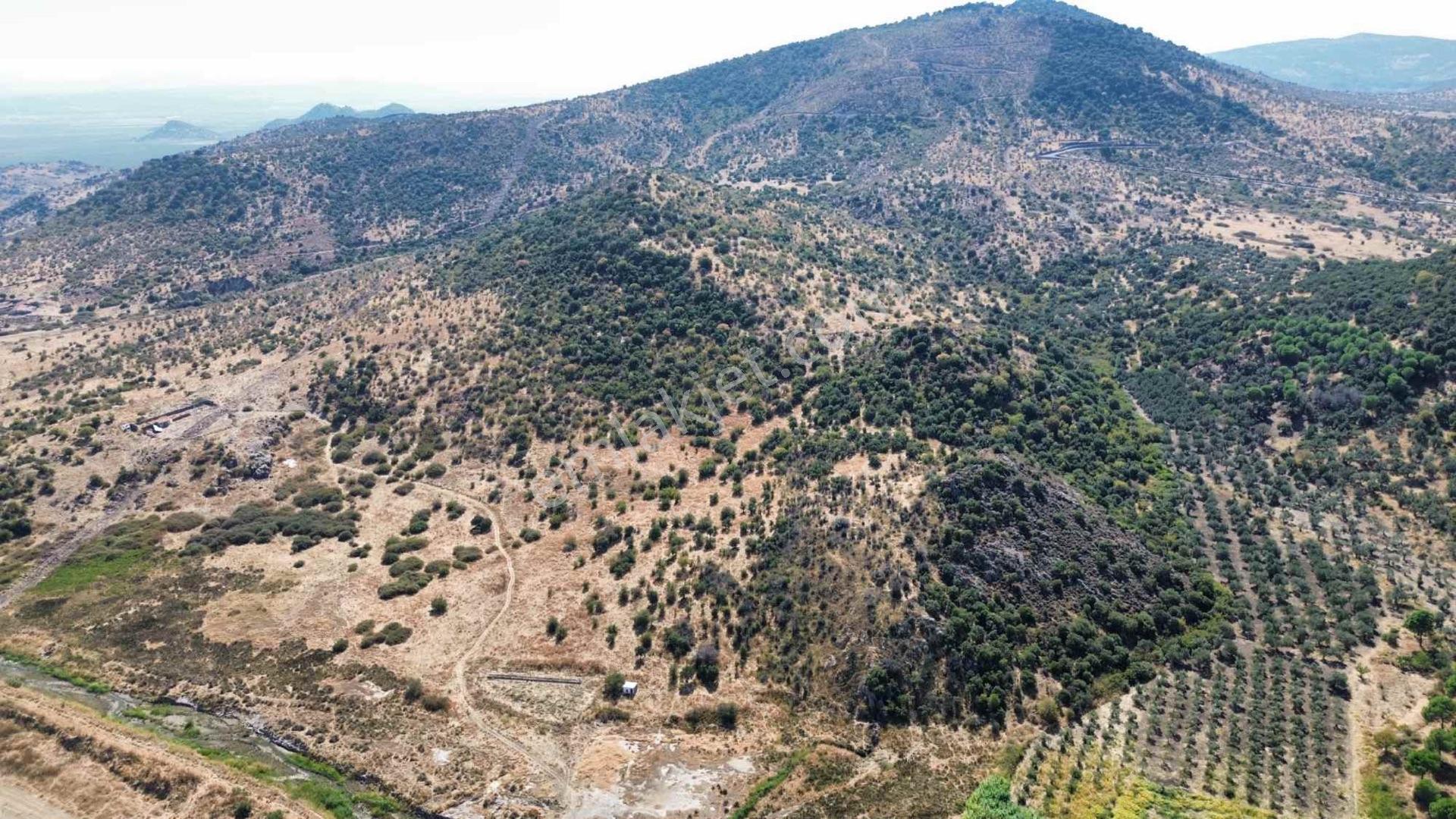 Dikili Salimbey Jeotermal Tarım Ve Enerji Potansiyeli Bir Arada Olan 283.350 M2 Satılık Arazi — fotoğraf 10