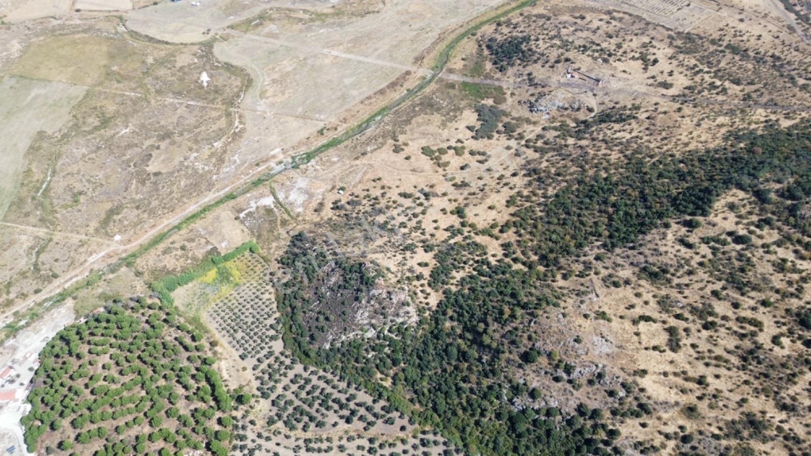 Dikili Salimbey Jeotermal Tarım Ve Enerji Potansiyeli Bir Arada Olan 283.350 M2 Satılık Arazi — fotoğraf 11