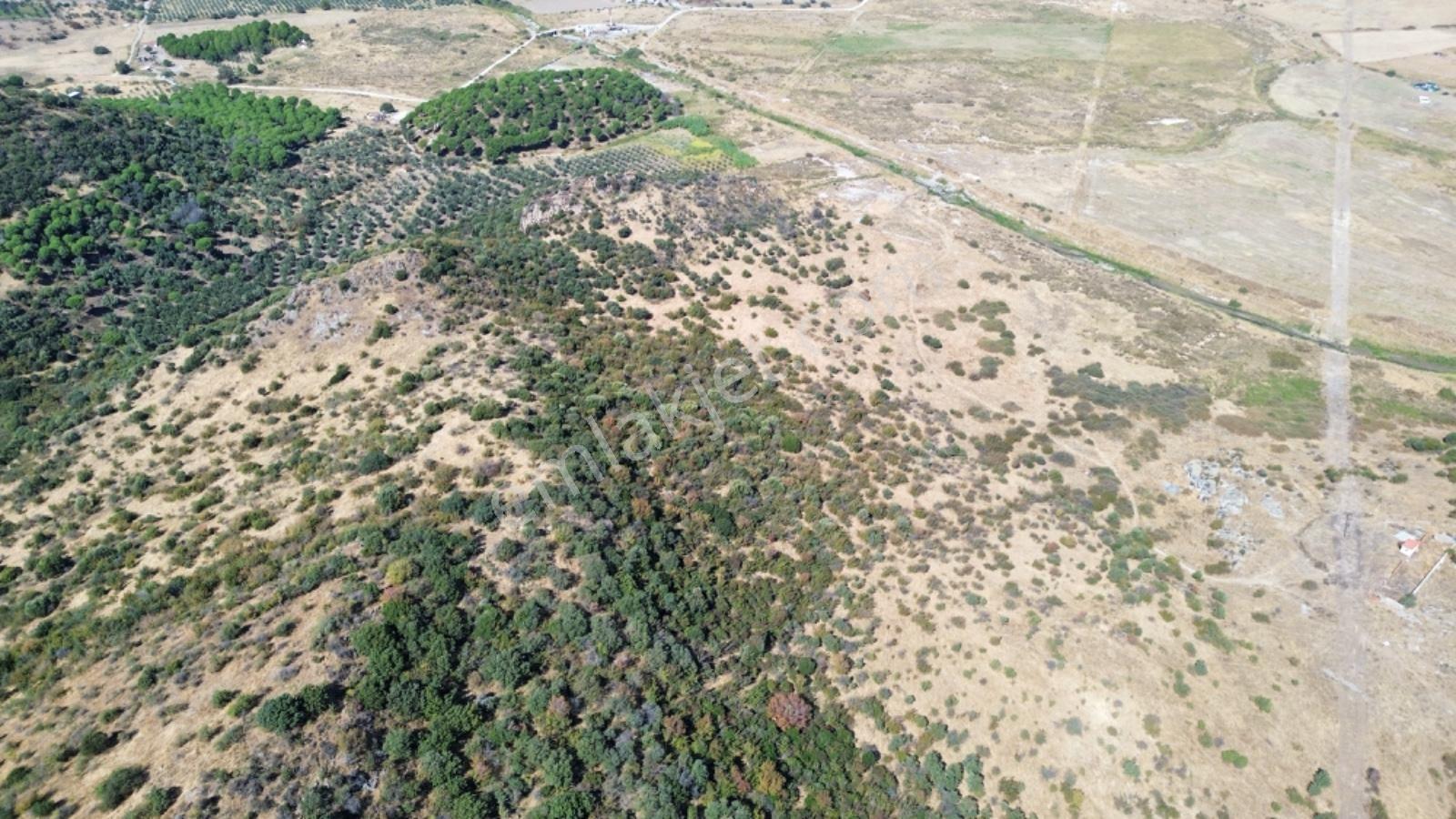 Dikili Salimbey Jeotermal Tarım Ve Enerji Potansiyeli Bir Arada Olan 283.350 M2 Satılık Arazi — fotoğraf 12