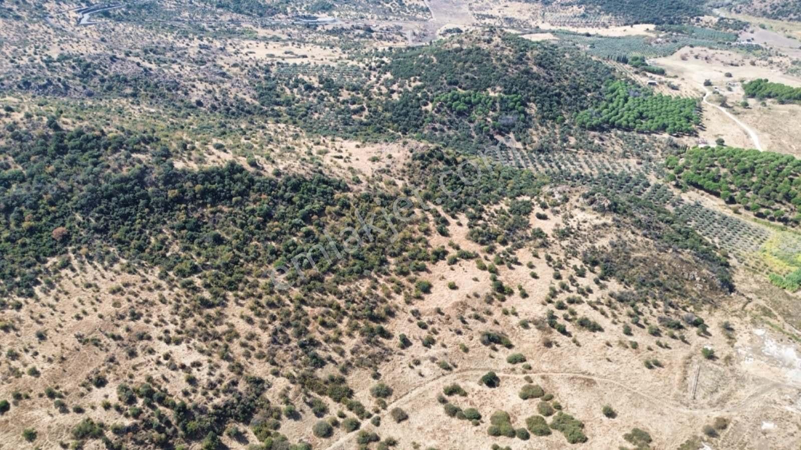 Dikili Salimbey Jeotermal Tarım Ve Enerji Potansiyeli Bir Arada Olan 283.350 M2 Satılık Arazi — fotoğraf 14