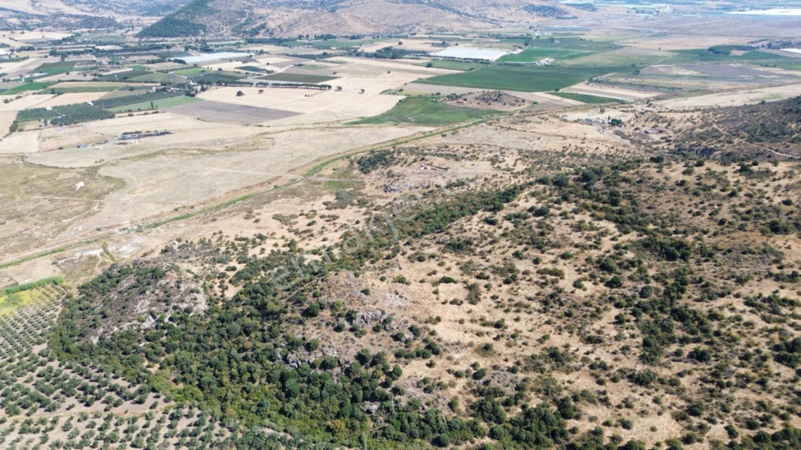 Dikili Salimbey Jeotermal Tarım Ve Enerji Potansiyeli Bir Arada Olan 283.350 M2 Satılık Arazi — fotoğraf 15